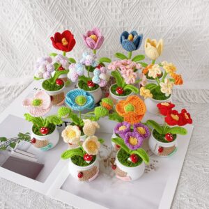 Handmade Crochet Potted Tulip Plant – 3 Styles | Flower Pot | Home Décor Gift